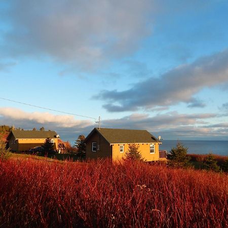 Les Chalets Brise-De-Mer Sainte-Therese-de-Gaspe Exterior photo