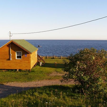 Les Chalets Brise-De-Mer Sainte-Therese-de-Gaspe Exterior photo