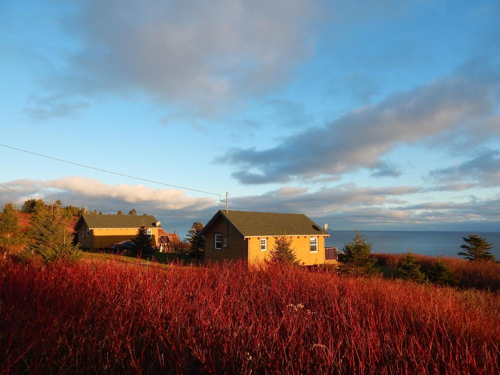 Les Chalets Brise-De-Mer Sainte-Therese-de-Gaspe Exterior photo