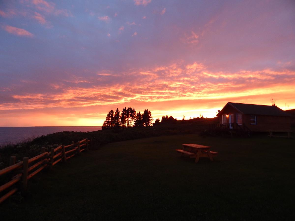 Les Chalets Brise-De-Mer Sainte-Therese-de-Gaspe Exterior photo